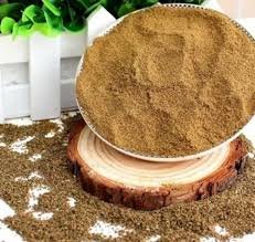 अजमोत Apium graveolens (Linn)