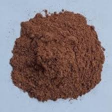 पूगीफ़ल Areca catechu (Linn)