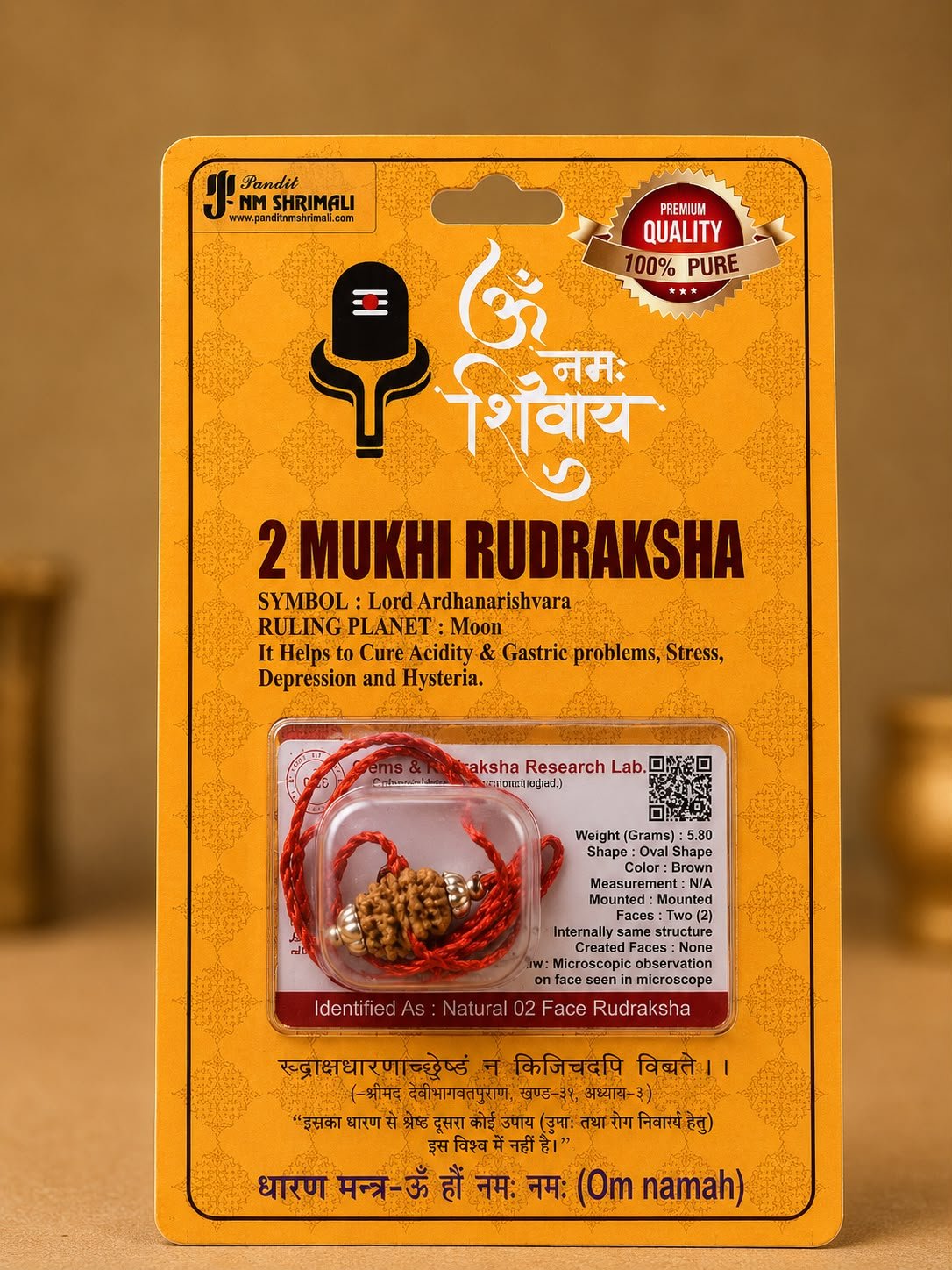 दो मुखी रुद्राक्ष (2 mukhi rudraksh) 