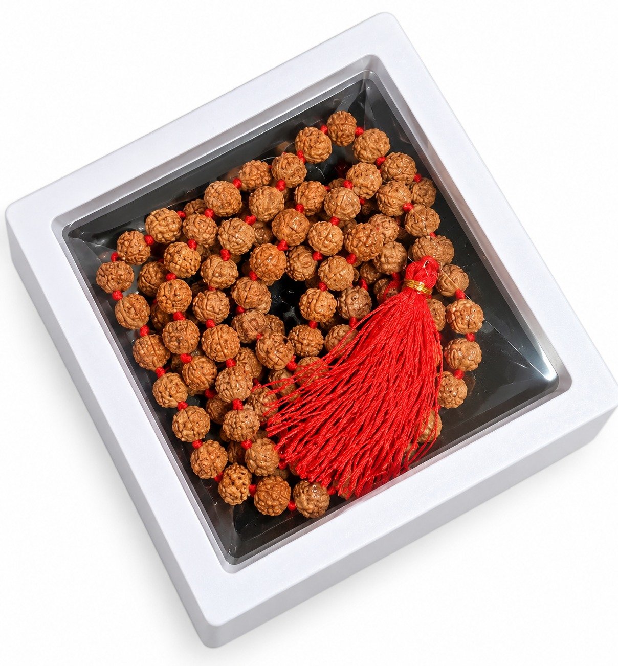 5 mukhi rudraksh mala